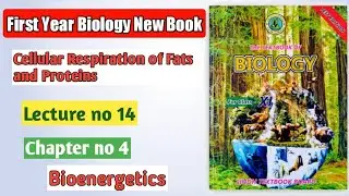 cellular of respiration of fats and protein|| aerobic respiration|| Bioeneegetics|| Chapter 4