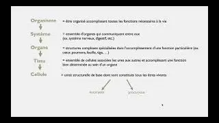Les niveaux d'organisation des &ecirc;tres vivants - SVT | 2nde