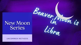 New Beaver Moon in Libra 🌑  Balance, Beauty & Cosmic Reset  October 21, 2025