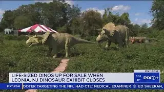 'Crazy insane': NJ park selling life-size dinosaurs on Facebook Marketplace
