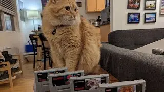 Unboxing Super Famicom Trans Carts from AliExpress - 8bitjoystick