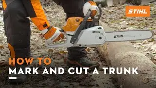 How to mark and cut a trunk on the ground | STIHL Tutorial