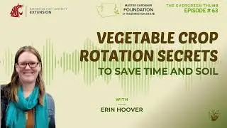 Vegetable Crop Rotation Secrets to Save Time and Soil
