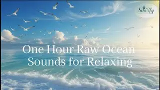 One Hour Raw Ocean Sounds for Relaxing Schilify