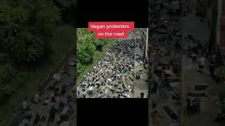 When vegan protesters are on The Boy's way #theboys #vegan #shorts #viral #protesters #darkhumor
