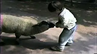 Catskill Game Farm