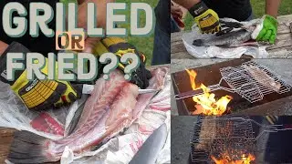 Drum Catch and Cook! Grilled & Deep Fried!