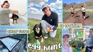 training for a 5k, doggie egg hunt, and a crazy winter storm!