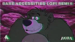 Ｔｈｅ　Ｂａｒｅ　Ｎｅｃｅｓｓｉｔｉｅｓ    🐻✔️    Lofi Hip Hop Remix