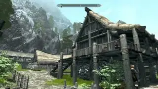 Artifacts GPU Skyrim?