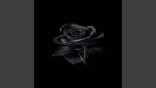Soul Ties (feat. AvianLamarr)