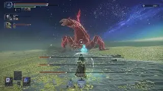 Bugged Boss fight