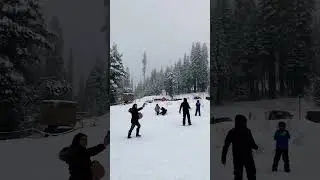 Badger pass skiing #yosemite #badgerpass #snow #skiing #irvine #nationalparks