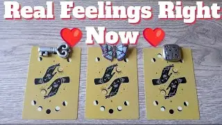 ❤️What Are Their Real Feelings for you Right Now ?❤️ Pick a Card : 🪽Timeless Tarot 🪽