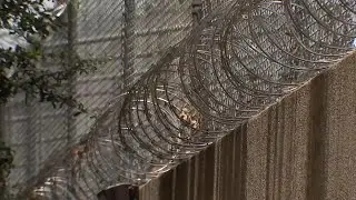 Inmate with nearly $30K in commissary account sold drugs in jail: Docs
