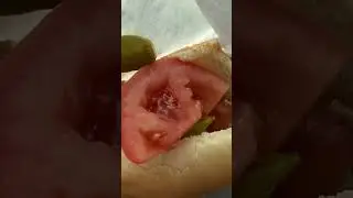 PETES RED HOTS 🌭 #shorts #foodie #mukbang #hotdogs