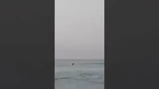 Surfeurs constantinois zaki