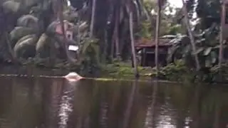 TRISHAN BERA FISH FARMING AT BAGNAN KANAIPUR 3