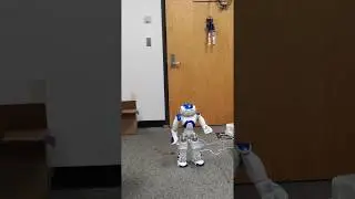 Nao robot demo