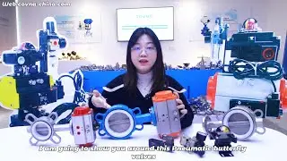The best hot sale Pneumatic butterfly Valve