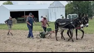 Horse Progress Days 2022 International Guests