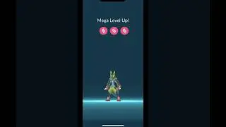 Maxed Mega Level Shiny Lucario On The Shinies Only Profile!!!