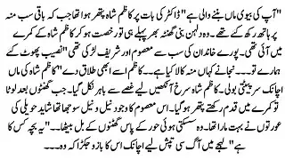 Urdu Novel