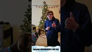 Dog Training Advent Calendar, Day 4!