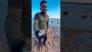 Island Tamilan || Andaman Island #video #ytvideo  #viralvideo
