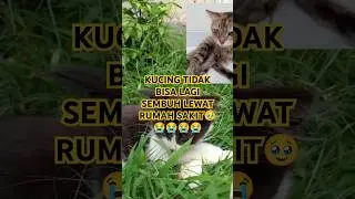 SAKIT GAK SEMBUH. TIDAK DAPAT OBAT TRADISIONAL.