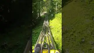 Arena Coaster, rodelbahn