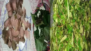 How to cook OYIK in Galo tribe style