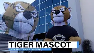 Tiger Mascot: Custom Inflatable Costume