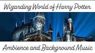 🔴 LIVE STREAM - Wizarding World of Harry Potter Ambience and Background Music