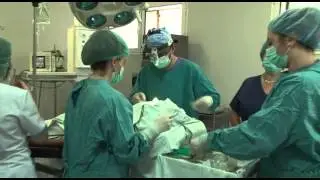 Գնել Անանյան / Gnel Ananyan