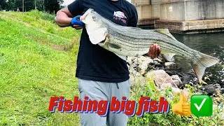 Fishing today#@ have big fish #✅👌boston