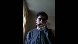 BW Walter's Boogie lesson 24/ C harp