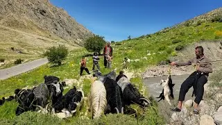 🐑 Nomadic Migration to Cold Regions | 🌊 Crossing Rivers & Hard Life in the Zagros Wilderness 🏔️