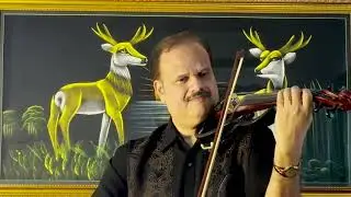 DIL HE  Dr Jobi Vempala on Violin