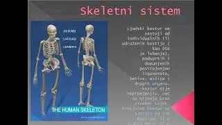 Mini Atlas Anatomije Skeleta Čoveka.#education #anatomy #biology#educationalvideo #students #ost