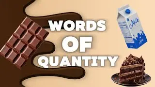 Quantity words / spotlight 2/ lesson 7