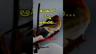 Telugu sukthulu #3144 | neethi vakyalu | jeevitha satyalu | manchi matalu | top matalu | quotations