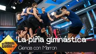 Cristina Pedroche alucina con 21 gimnastas sobre un metro cuadrado - El Hormiguero 3.0