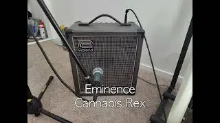 Roland Cube 60 Speaker Swap Comparison - Cannabis Rex