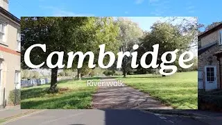 Cambridge walking tour: Mill Road cemetery, river walk, cows!