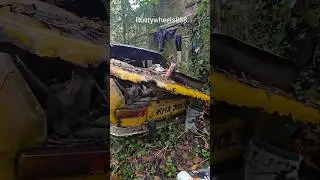 Я нашел разлагающийся Renault 12 #машина #классика #автомобиль #Renault #разложение