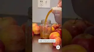 Apple Cider vs Apple Juice: What&rsquo;s the Difference and Which is Healthier? #Apples