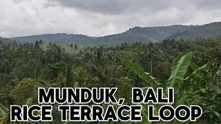 Munduk Rice Terrace Loop Walk | Bali Trail Guide + Local Eats