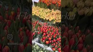 Spring Flower Market at Columbia Road, London #springinlondon #spring #london #flowers