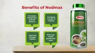 Stanes Nodmax